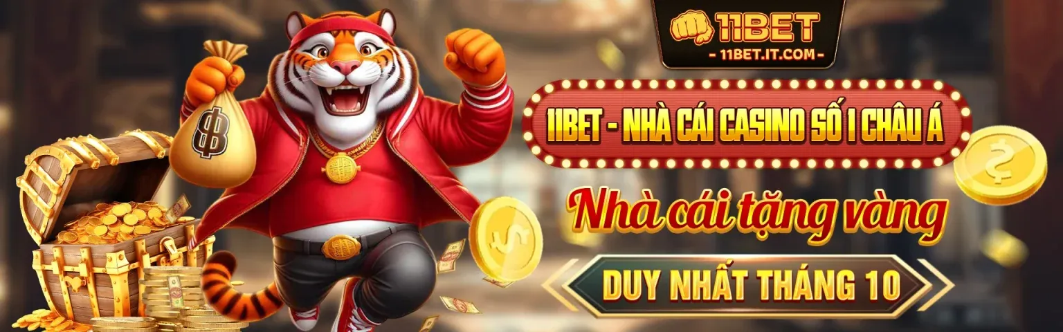 Hình ảnh tổng quan về nền tảng TWIN68
